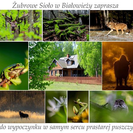 Apartament Jasinskiego Z Ogrodem Piaseczno  Exterior foto